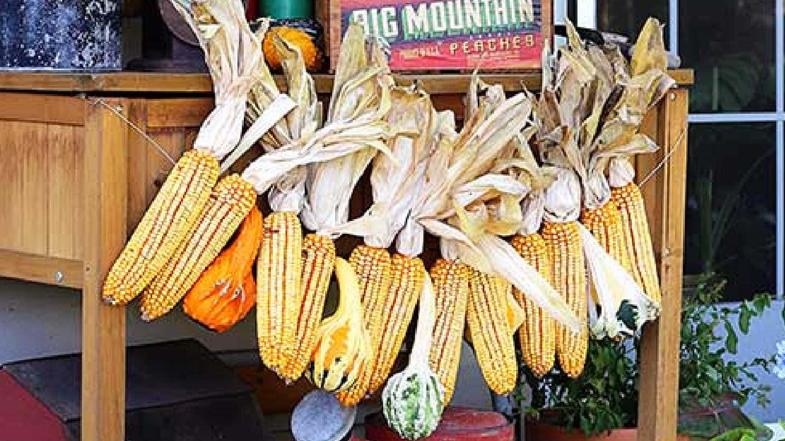 dried corn garland