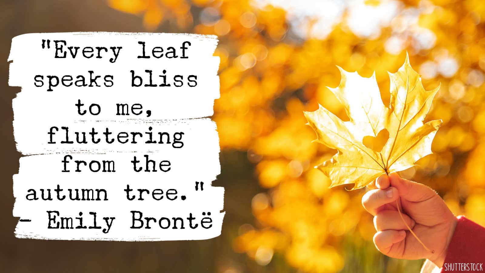 fall quote from emily brontë 