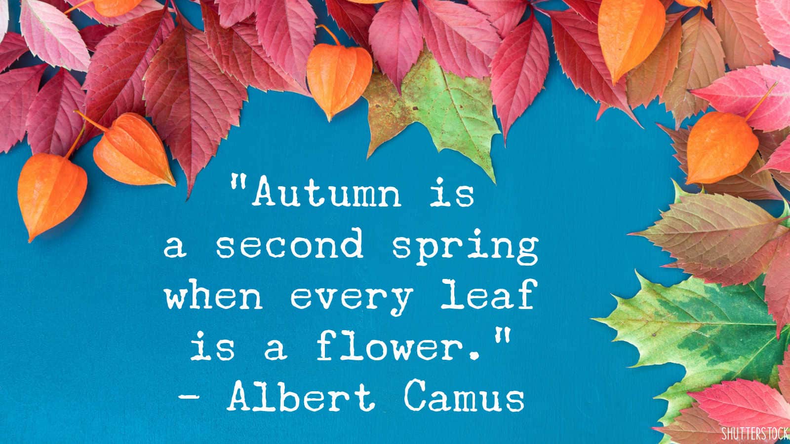 autumn is a second spring