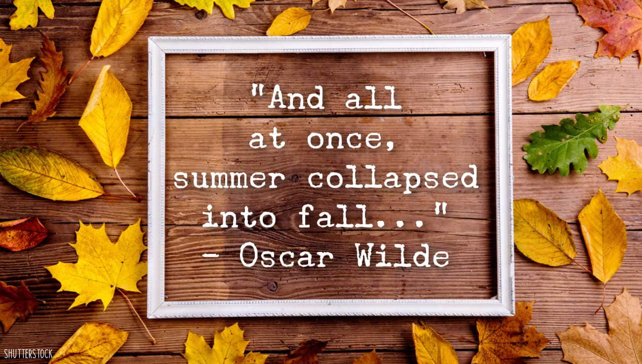 and all at once, summer collapsed into fall