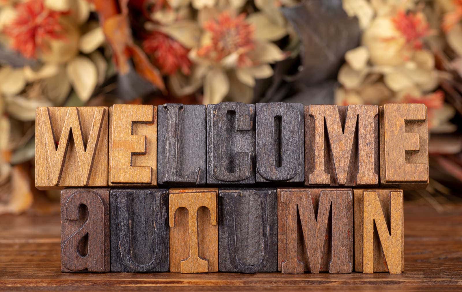 Fall Decor Ideas and Projects