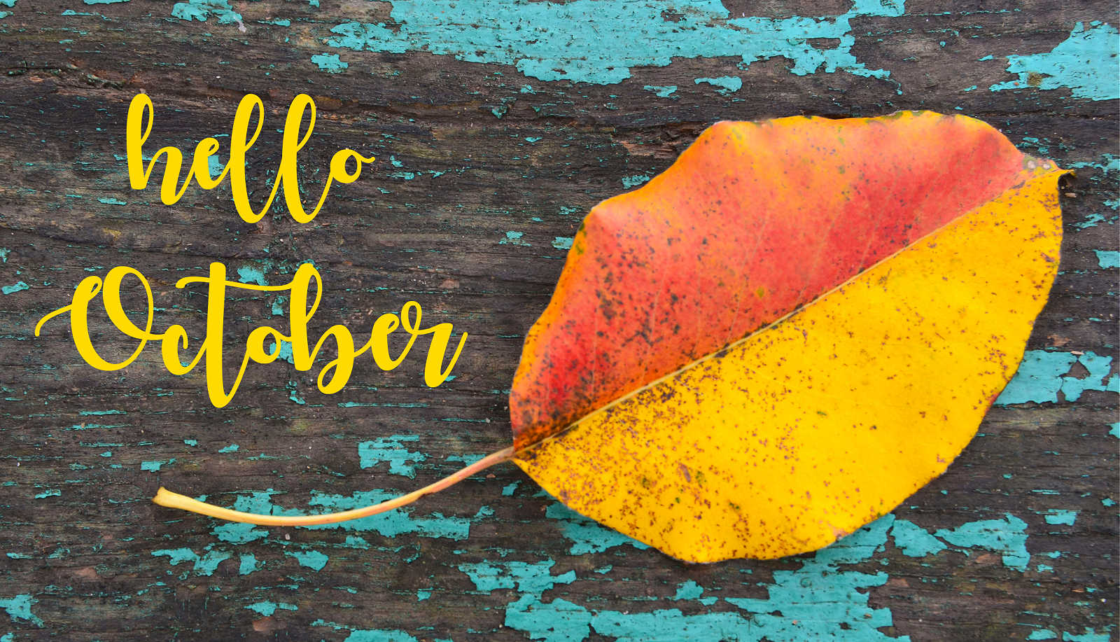 Scrumptious Fall Quotes to Swoon Over