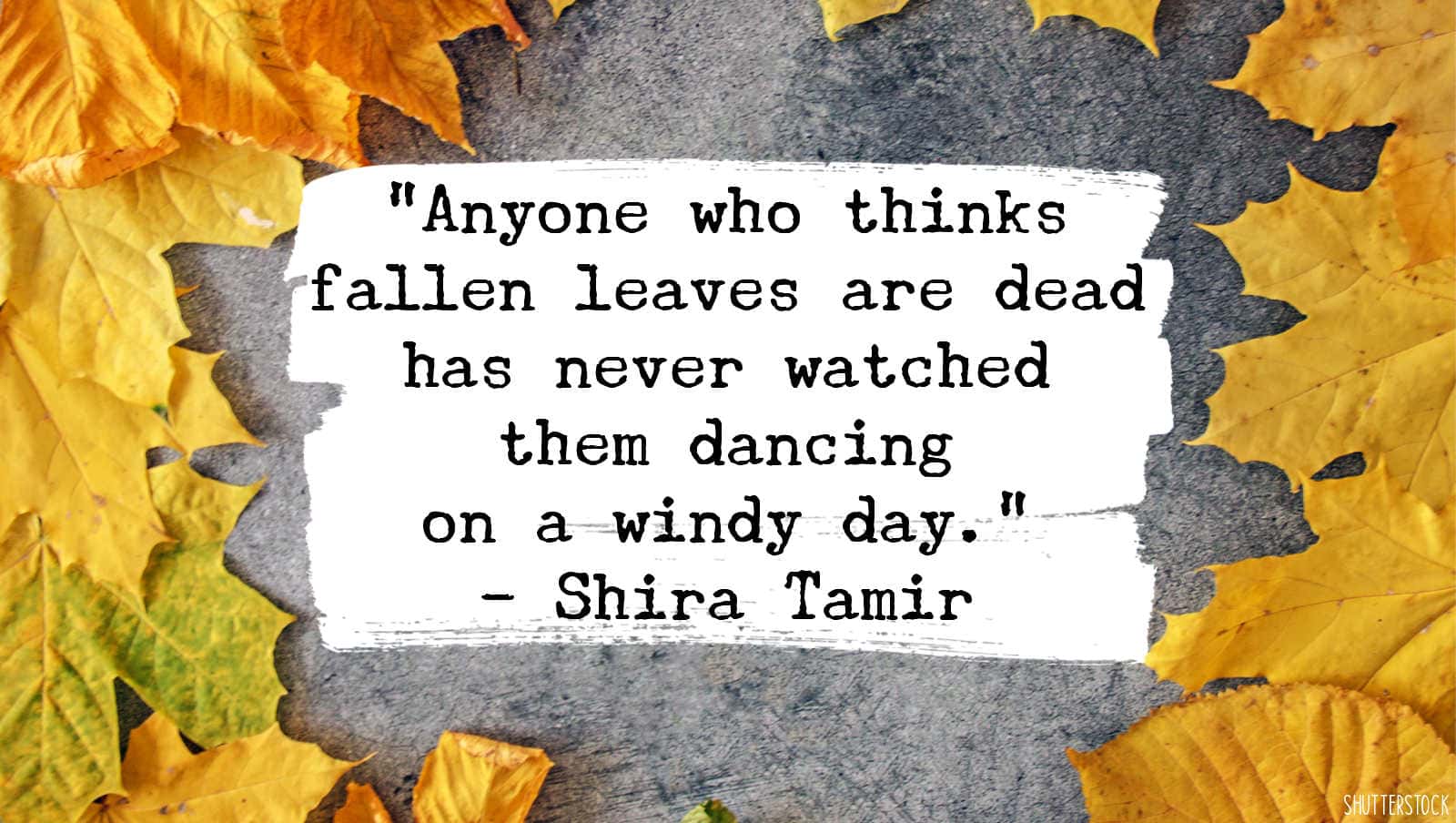 fall leaves quotes and sayings