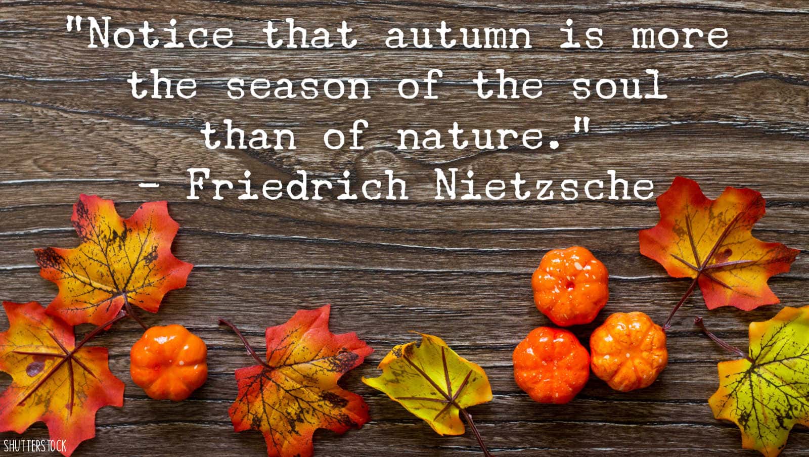 best fall quotes