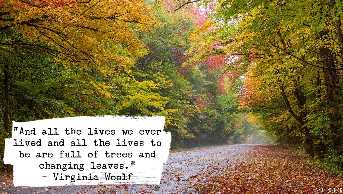 autumn quote from virginia woolf