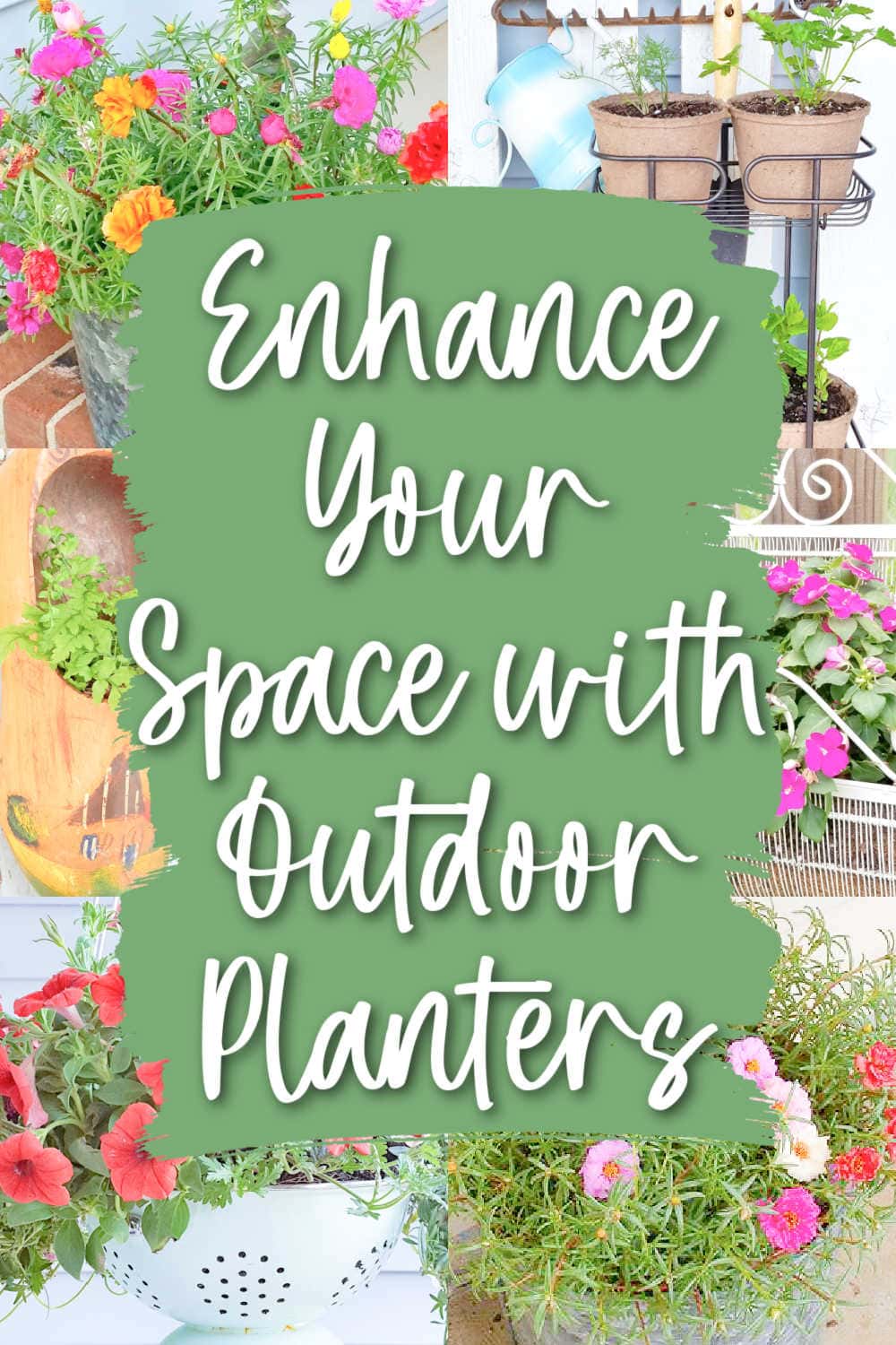 outdoor planter ideas for curb appeal