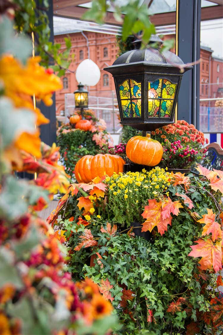 fall decor on the front porch