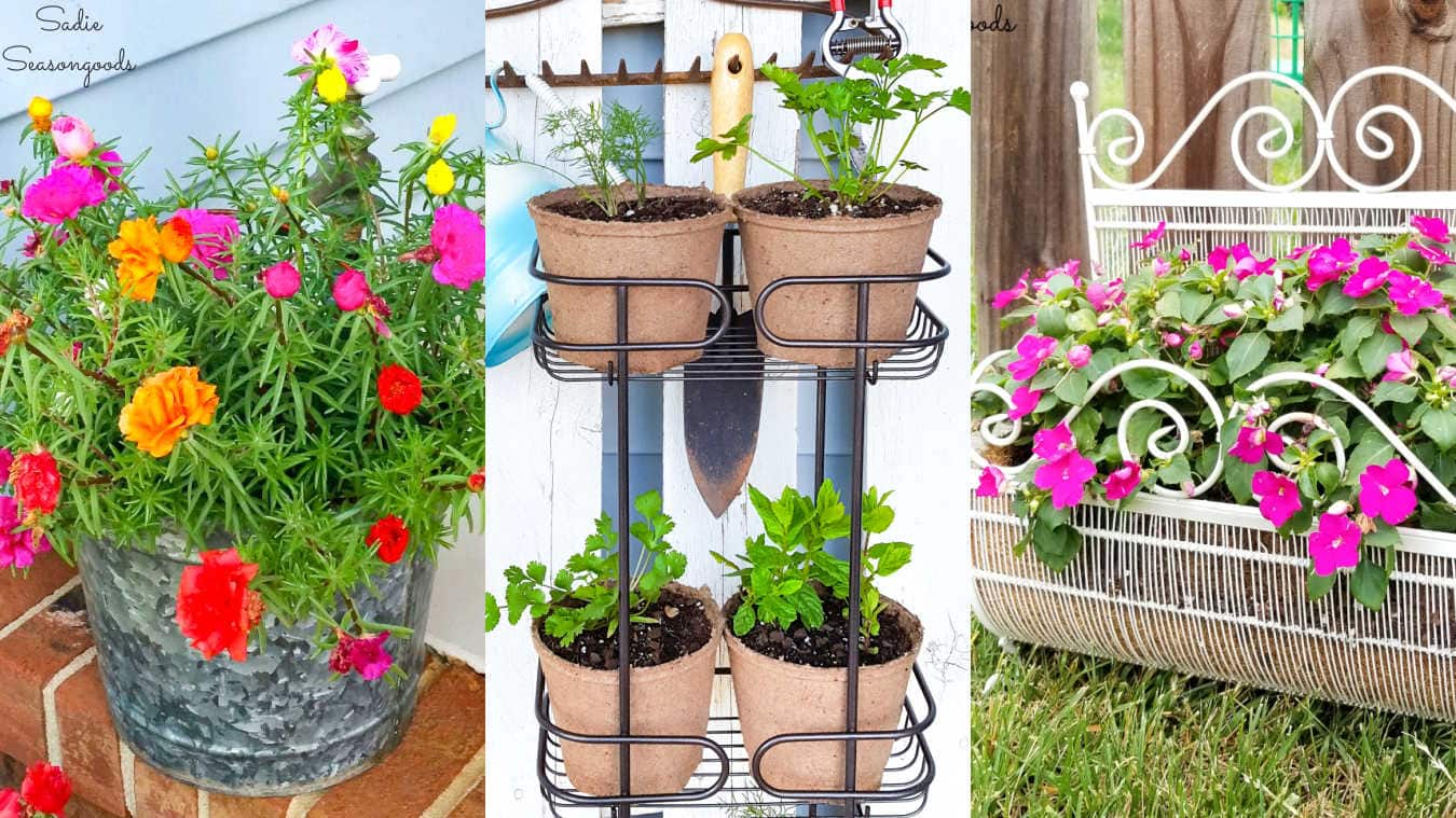 Outdoor Planters That Enhance Your Space