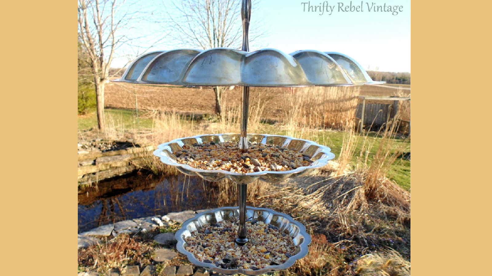 silver trays as a bird feeder