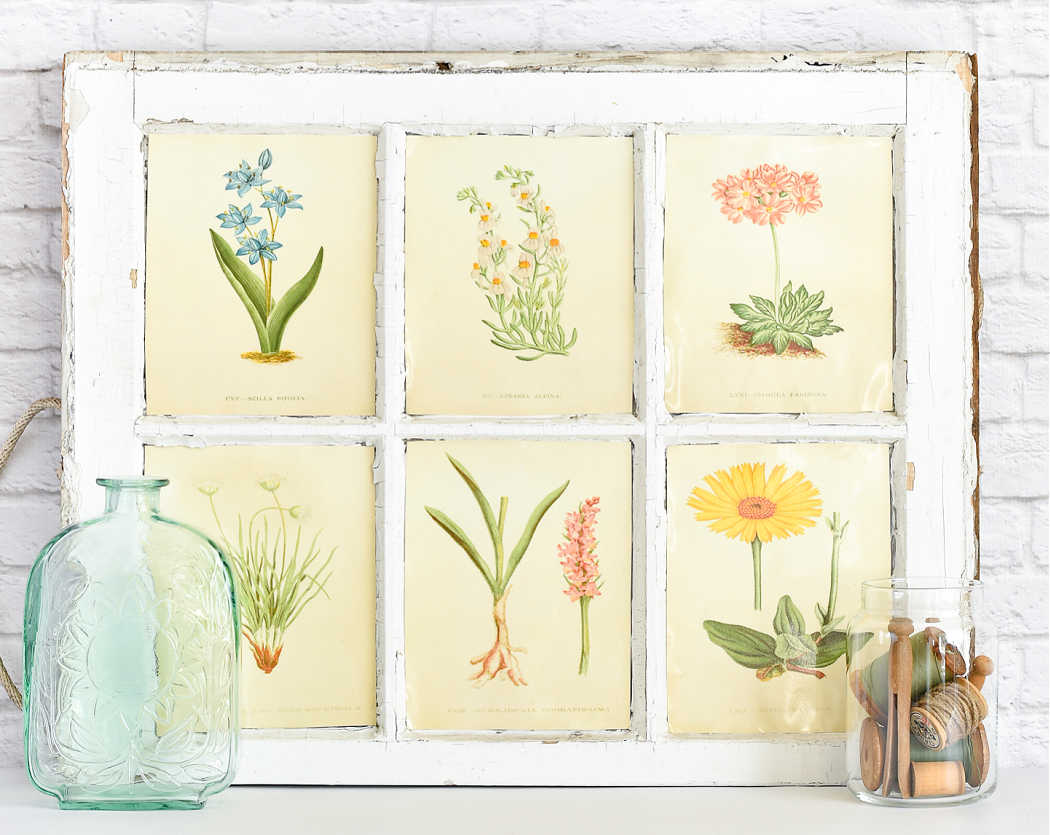 botanical prints as bathroom wall decor