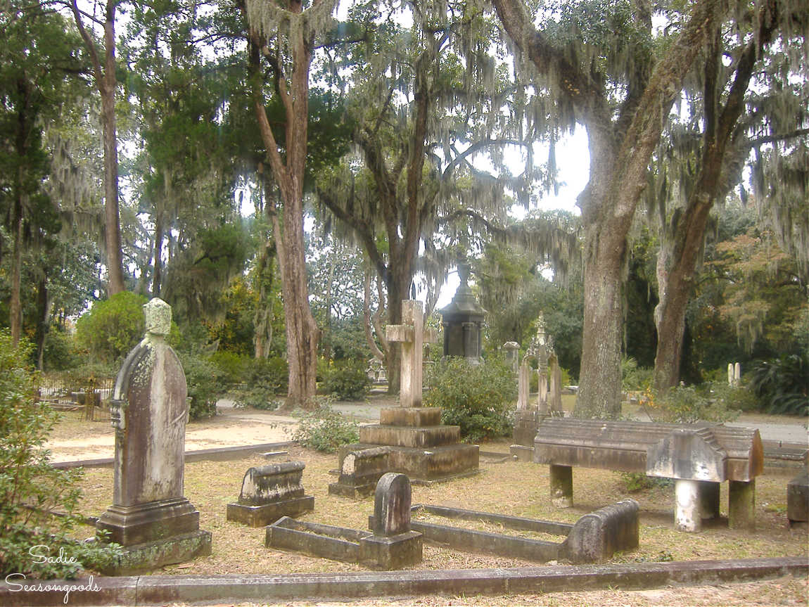 trees and tombstones at bonaventure cemetery
