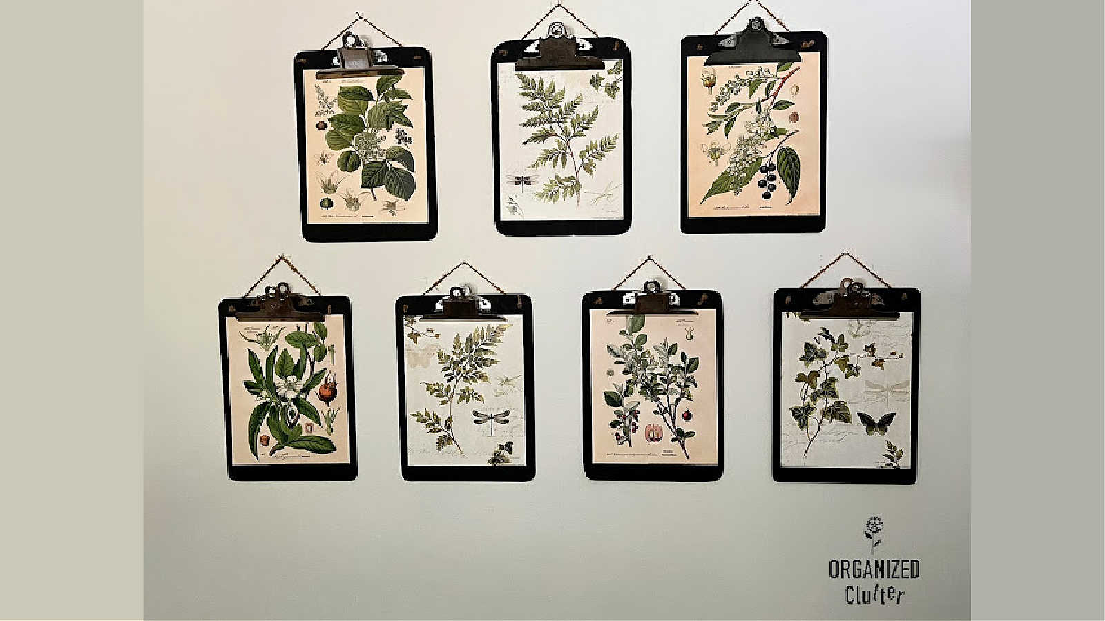 vintage clipboards used to display botanical prints