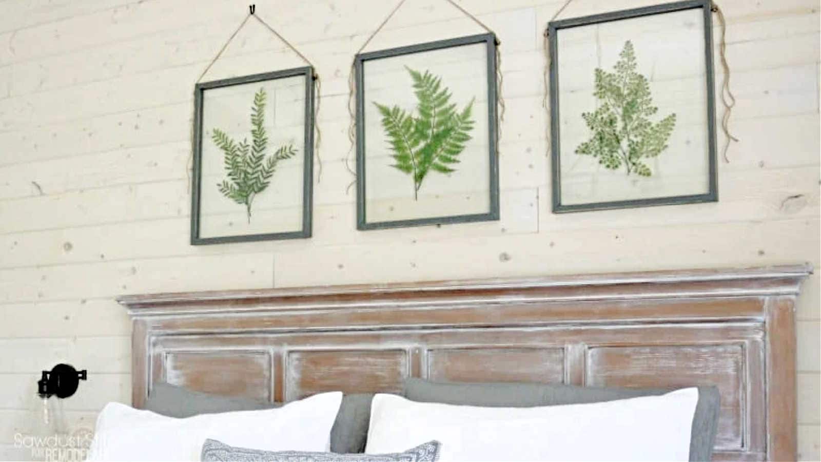 pressed plant frames for botanical decor