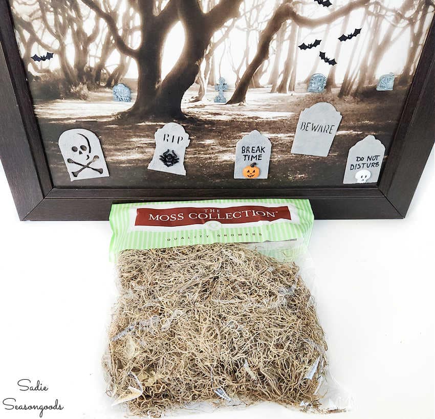 spanish moss for spooky art