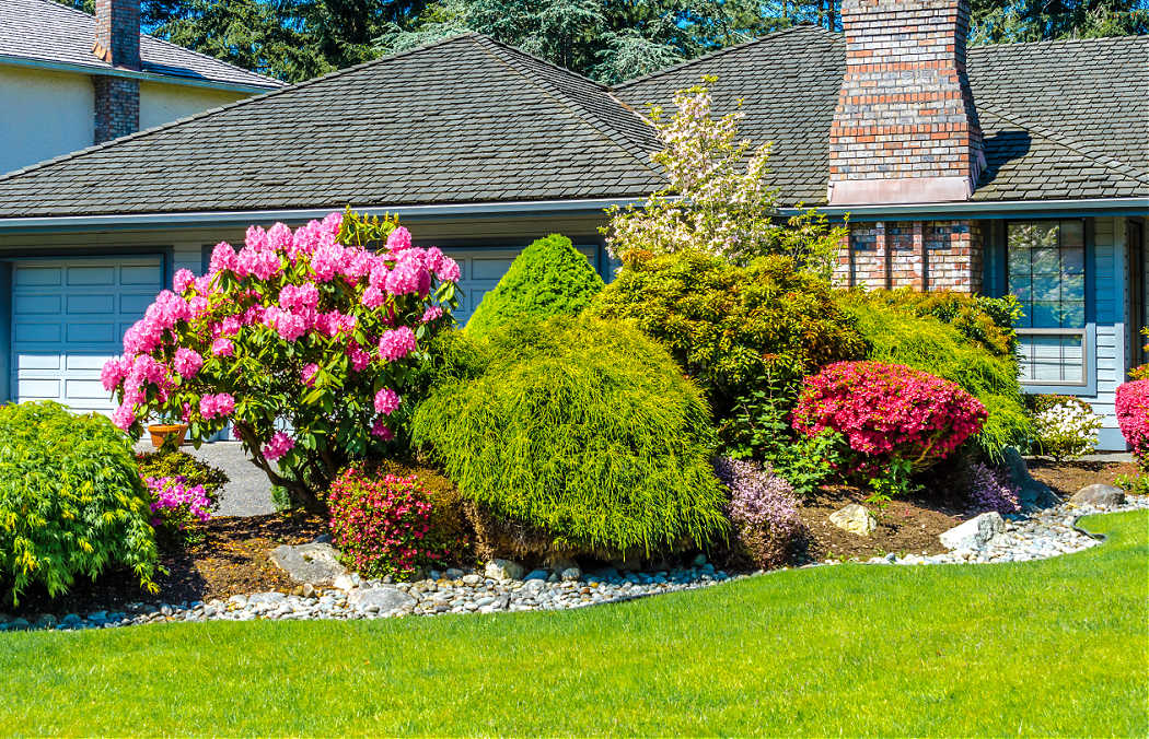 front yard garden plants