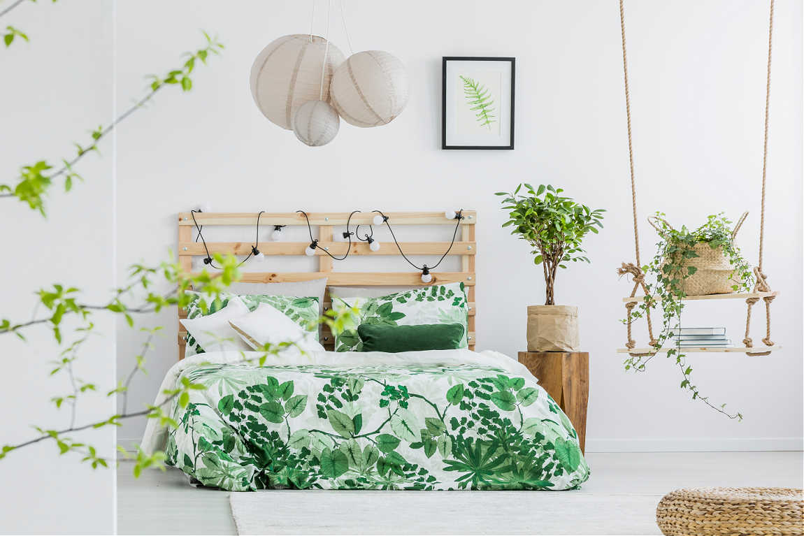 decorating with houseplants and hanging plants