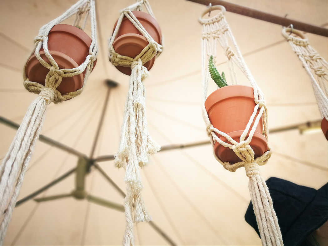 hanging plants in macrame planters