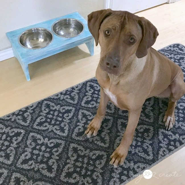 elevated food bowl stand for dogs