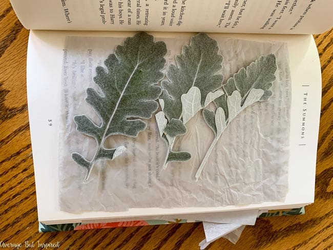pressing flowers in a book