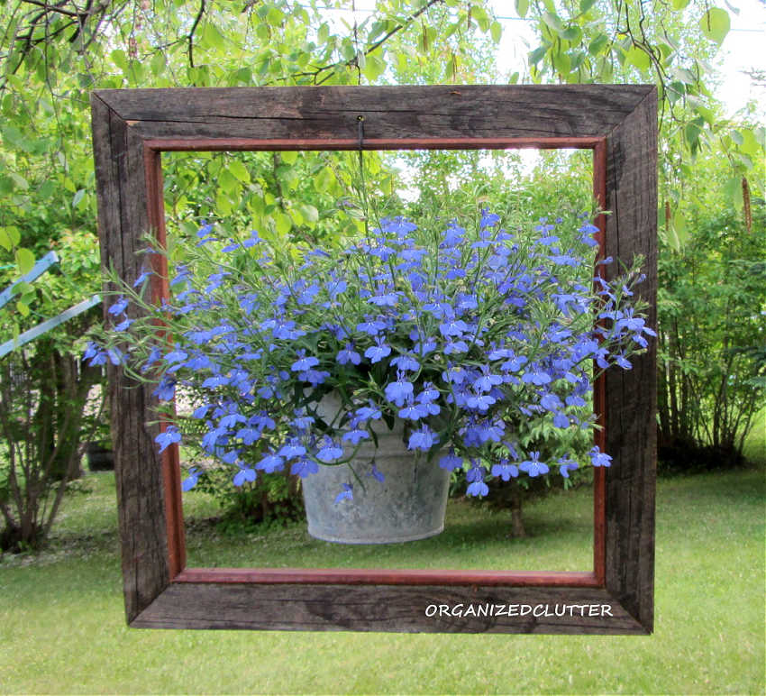 junk garden ideas with picture frames