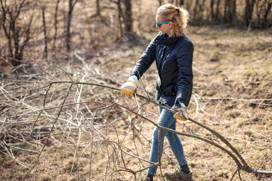 preparing the yard before winter