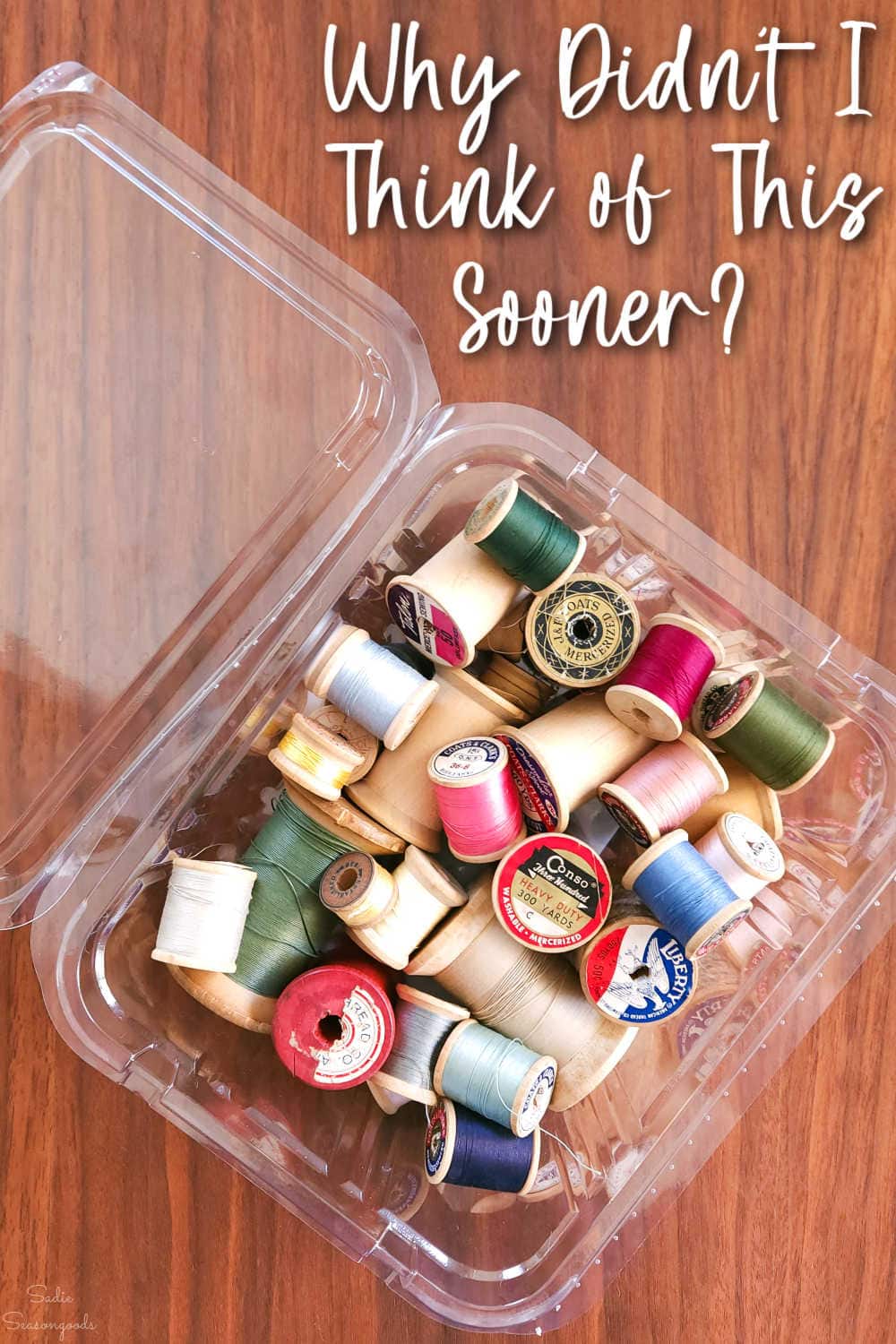 upcycle plastic clamshell packaging for storage