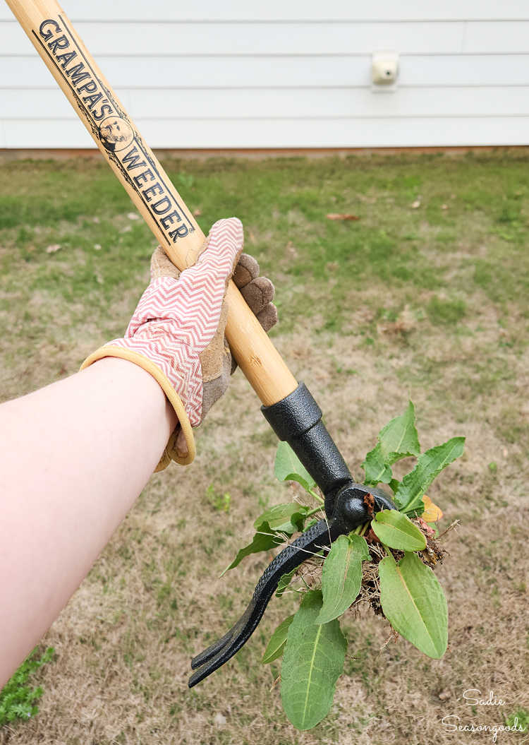 testing the grampas weeder