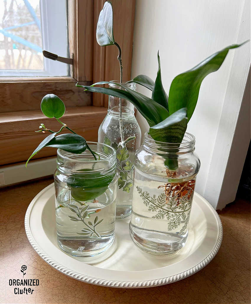 upcycle idea for glass jars