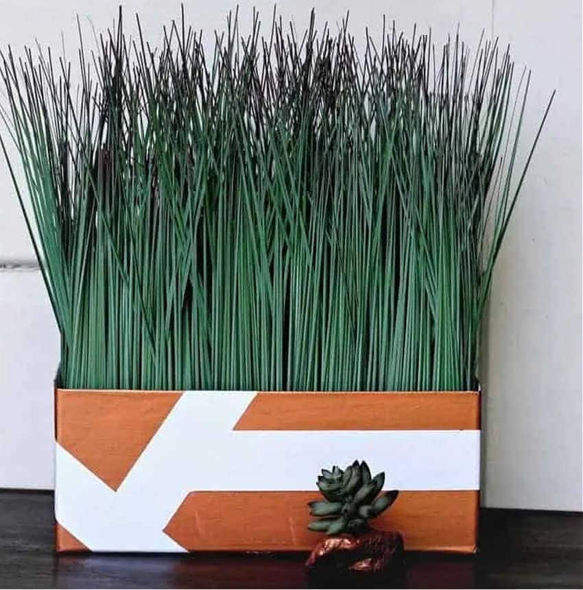 cardboard gift box as a planter