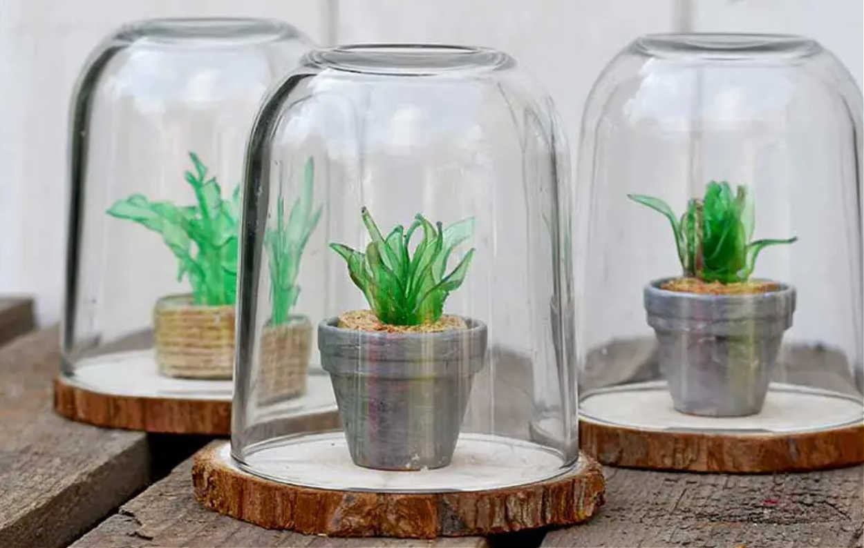 mini terrariums made from plastic bottles