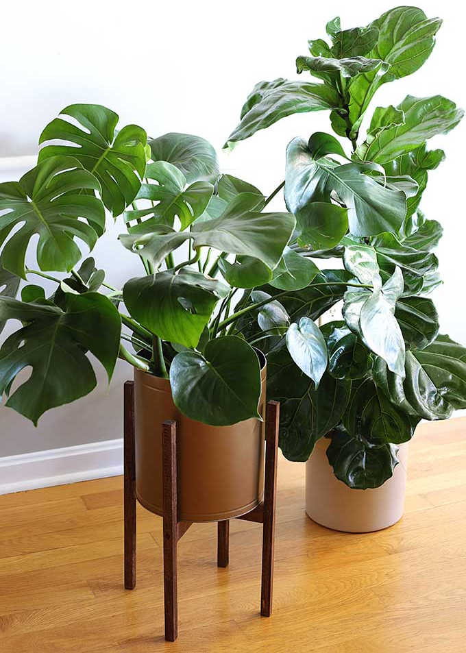 mcm style plant stands