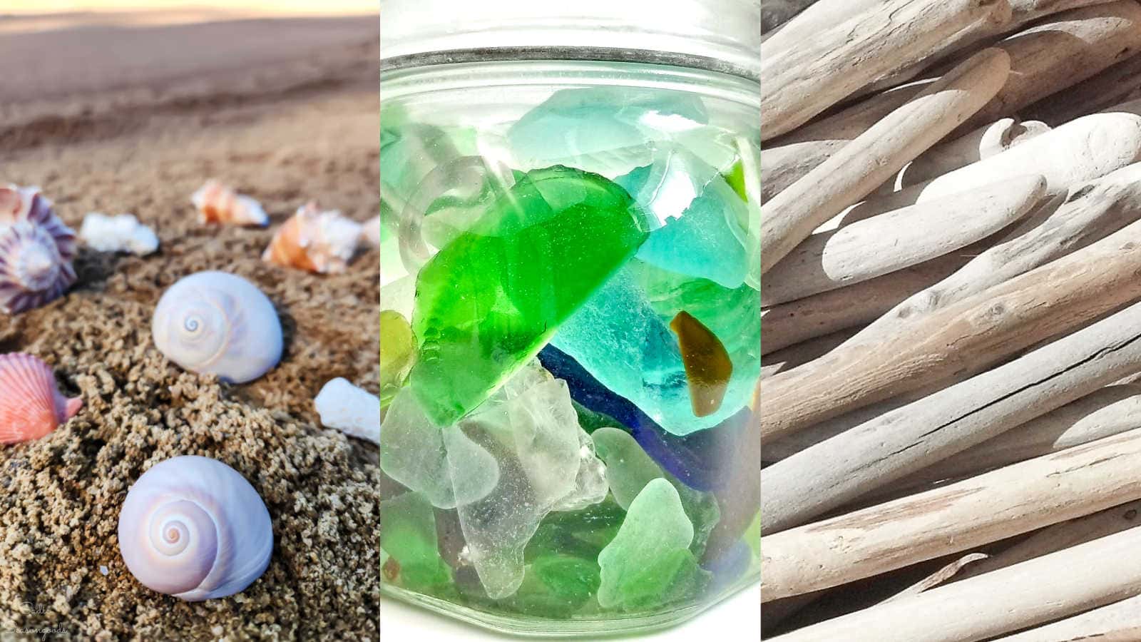 Craft Ideas for a Beachcomber
