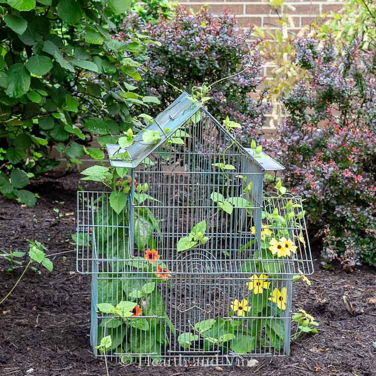 repurposed items for the garden