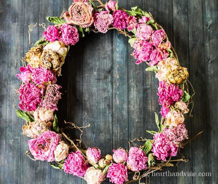 dried peony wreath