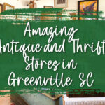 where to shop in greenville south carolina