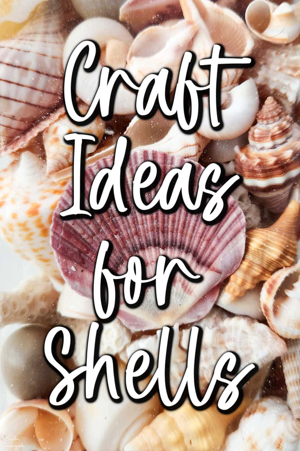 crafts with shells