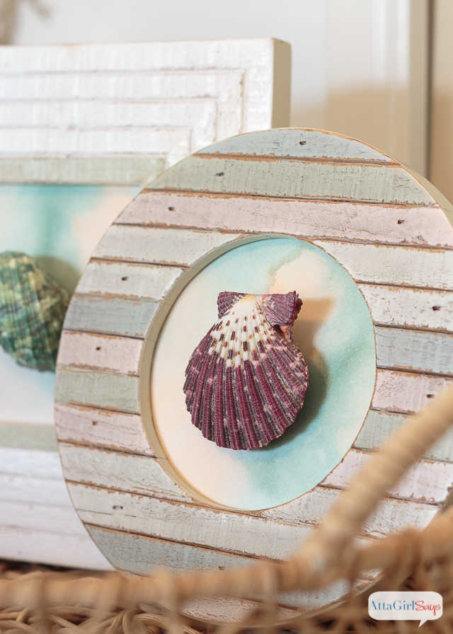 watercolor art with a shell