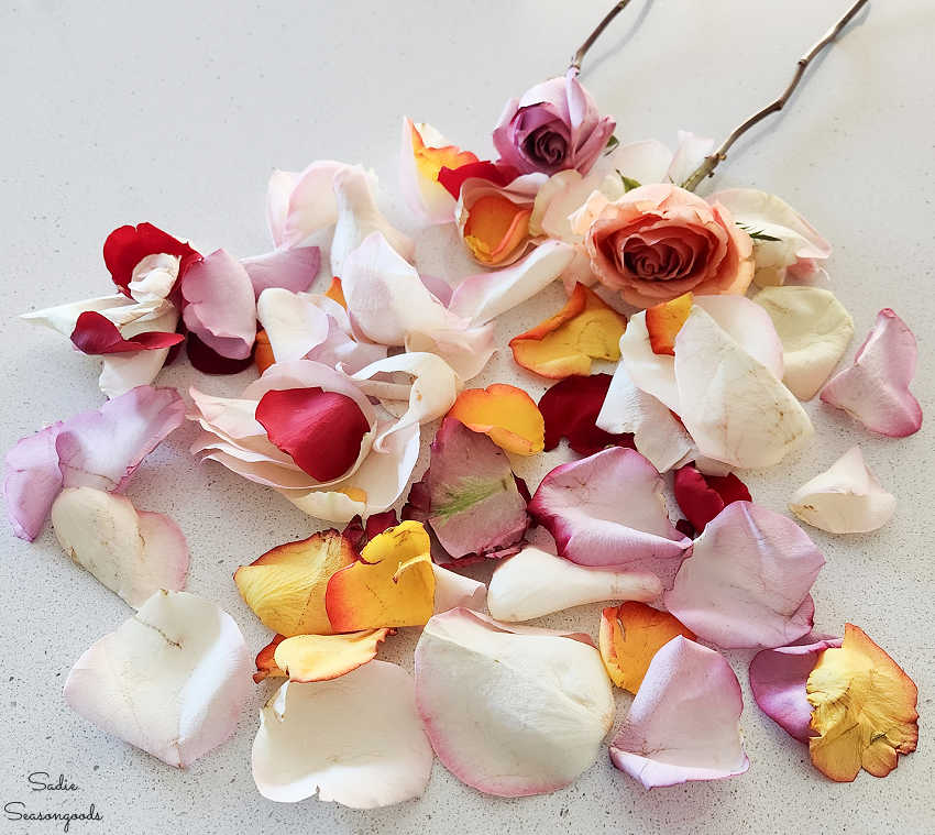 roses and rose petals for a craft project