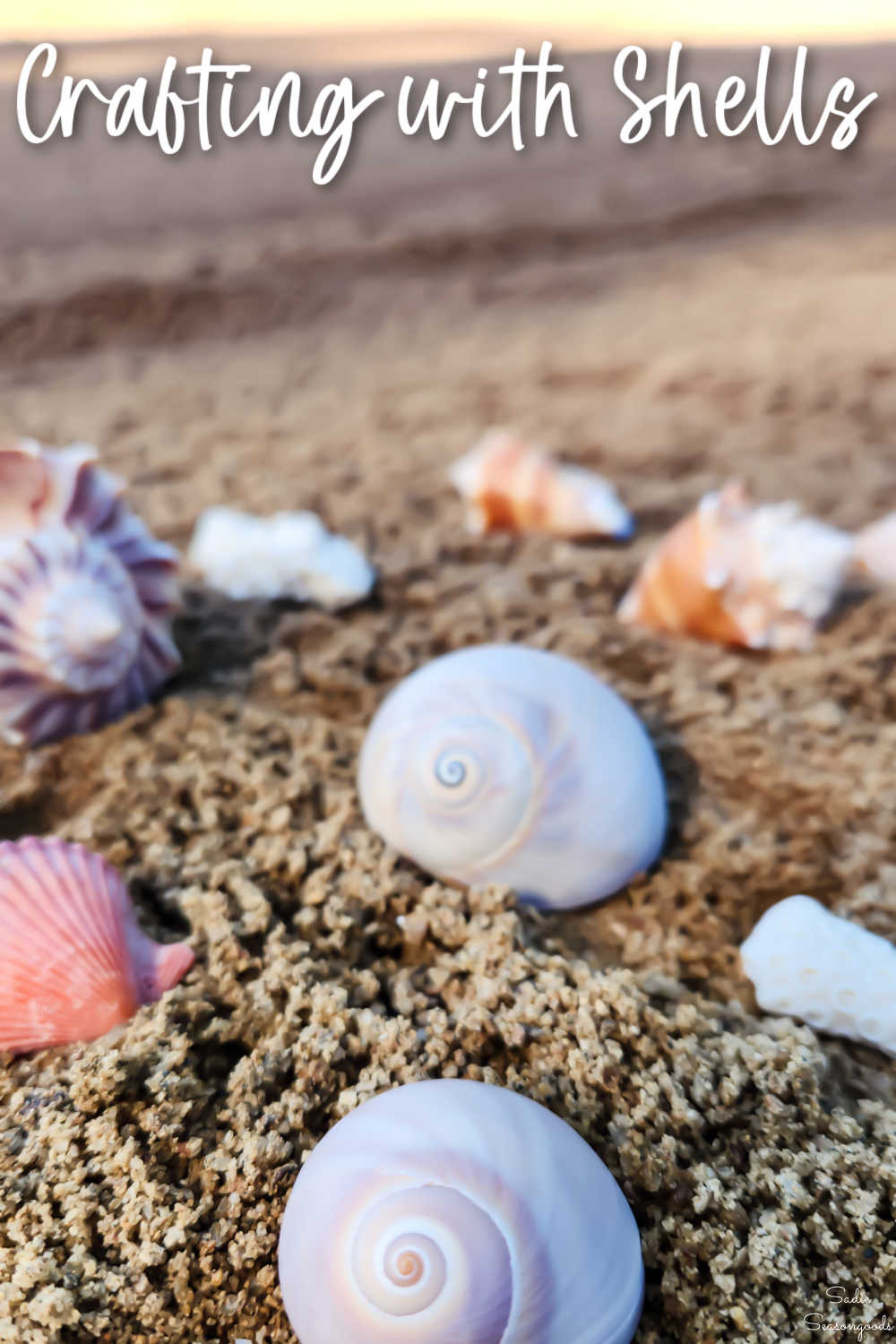craft projects with shells