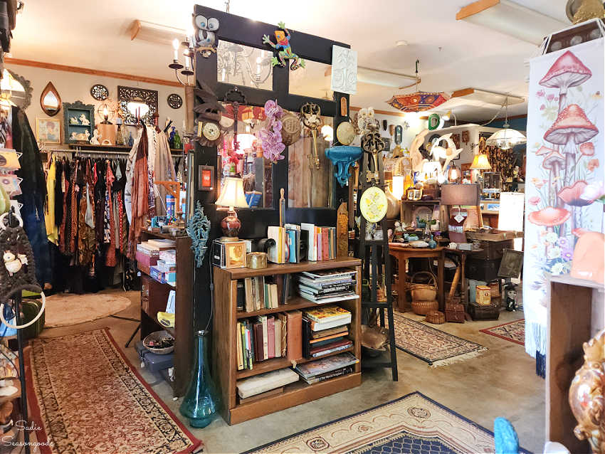 boho shop in western north carolina