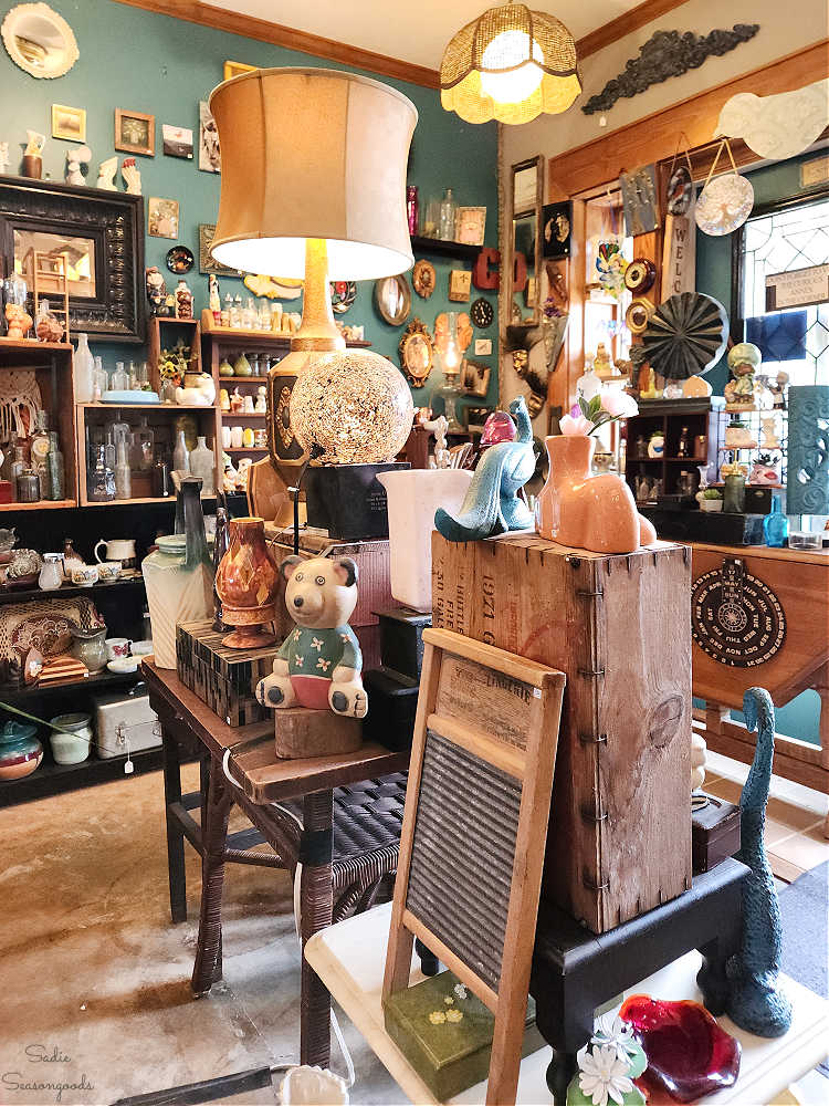the curiosity shoppe