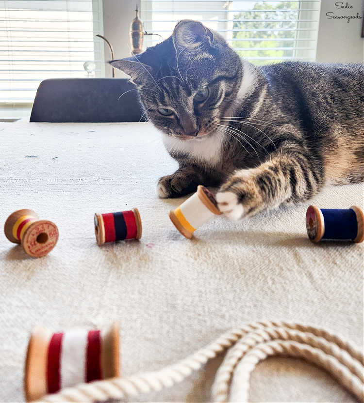 crafting with cats