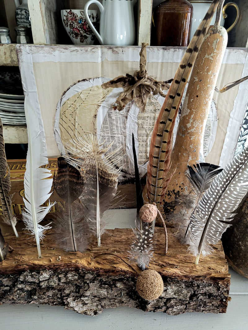 collecting feathers for fall arts and crafts