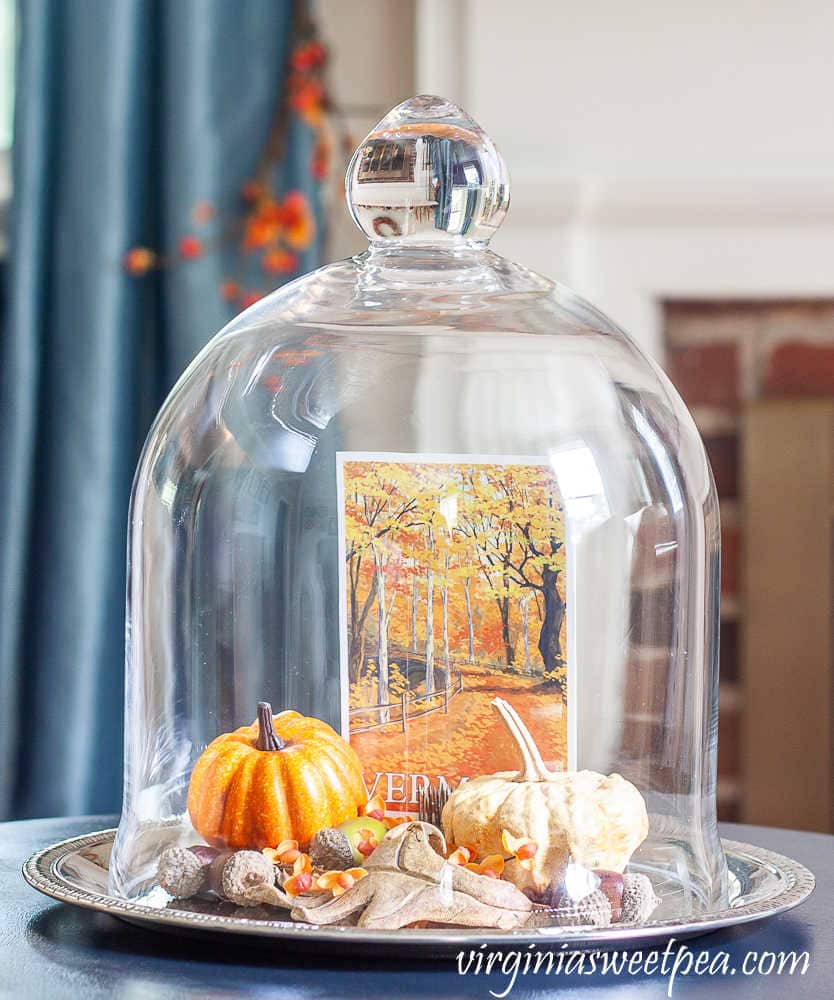fall decor under a cloche