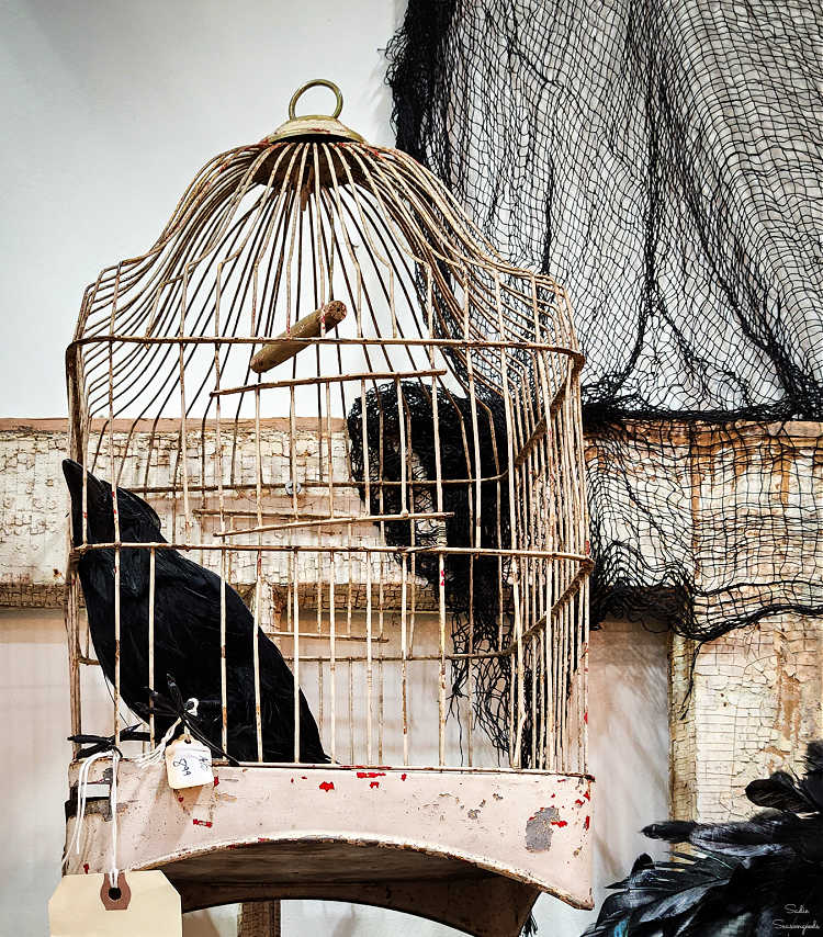 old birdcage for halloween decor