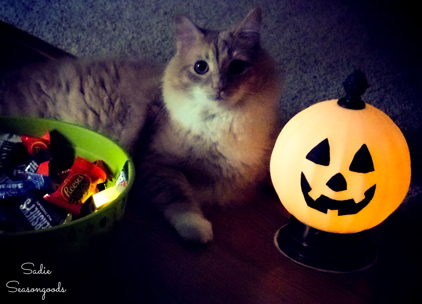 diy lighted jack-o-lantern