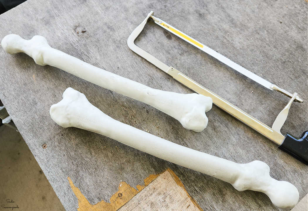 skeleton bones from michaels