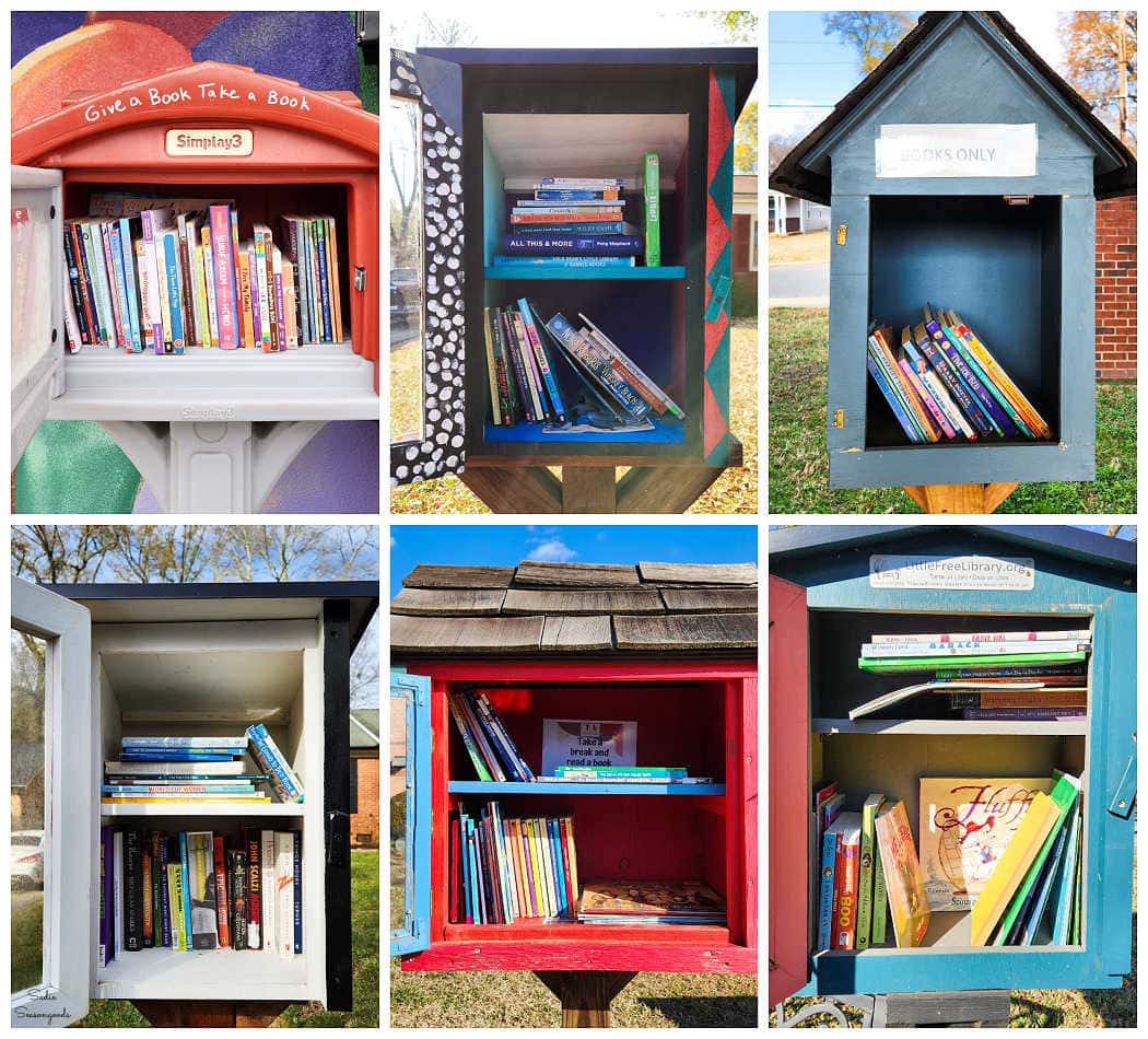 Connecting with My Community Through Little Free Libraries