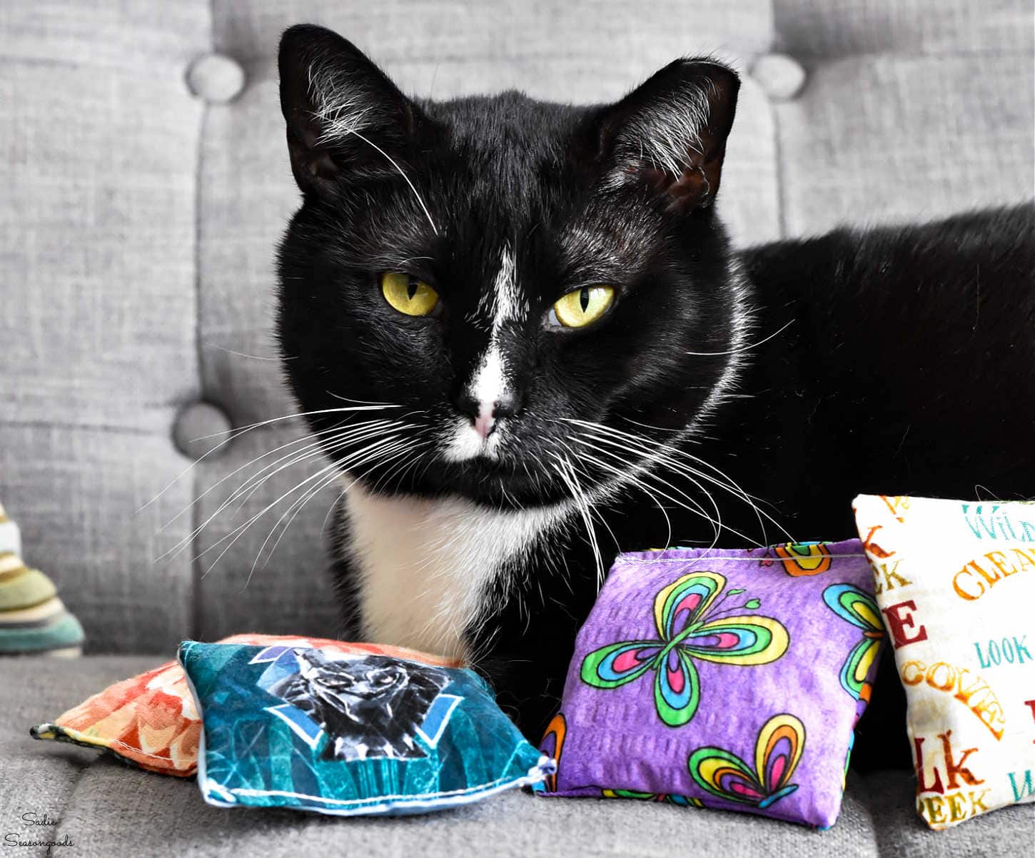 how to make diy catnip toys