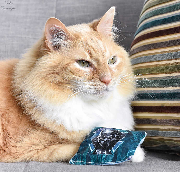 cat toys made from fabric scraps, catnip, and plastic bags